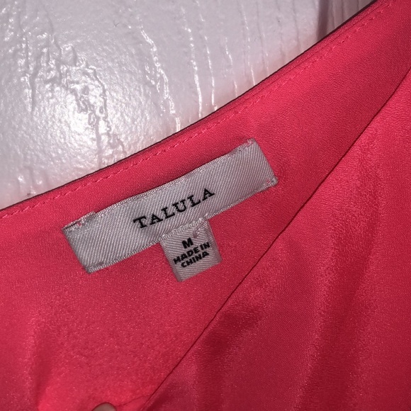 Aritzia Talula Tank - Picture 4 of 4
